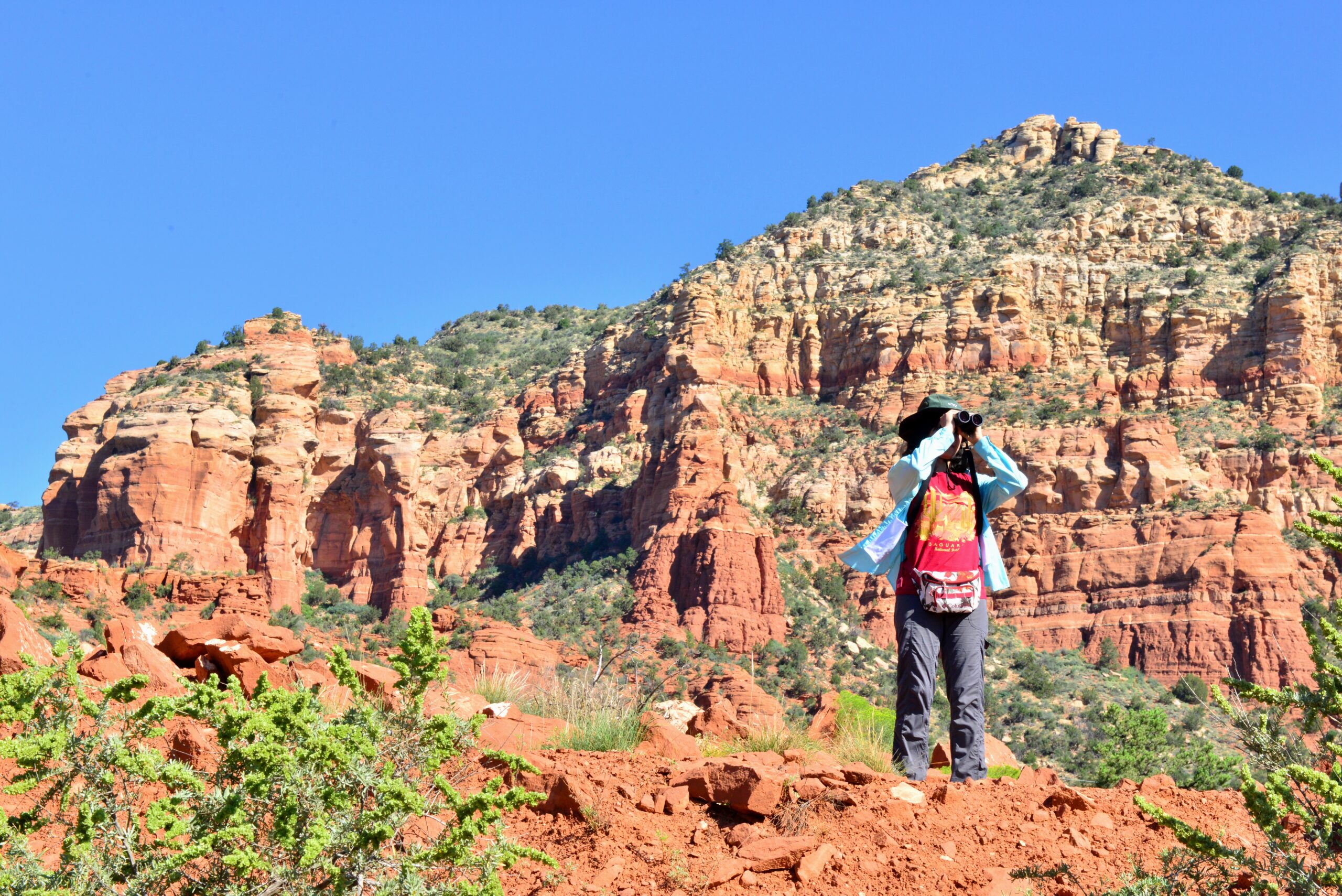 Birdwatching in Red Rocks in Arizona